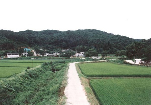 북일면 성덕리 마을전경