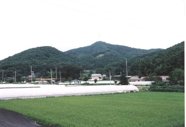 북일면 성덕리 마을전경