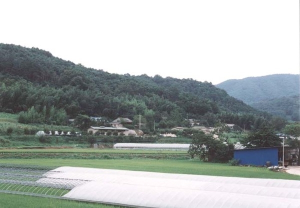 북일면 성덕리 마을전경
