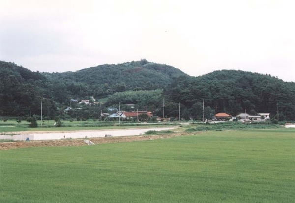 북일면 성덕리 마을전경