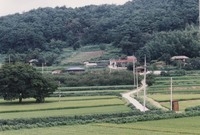 북일면 성덕리 마을전경