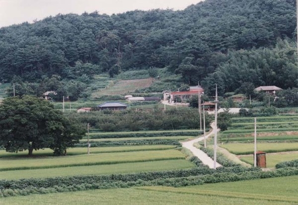 북일면 성덕리 마을전경