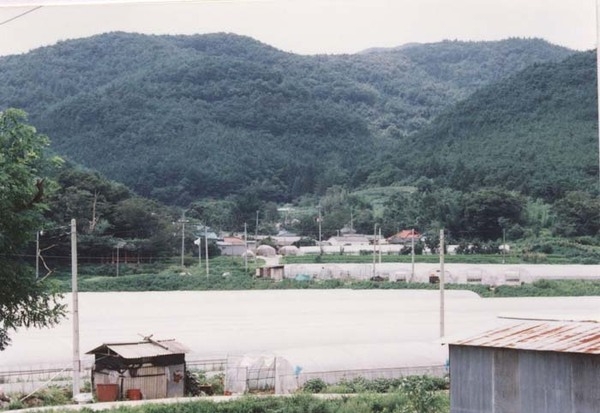 북일면 성덕리 마을전경
