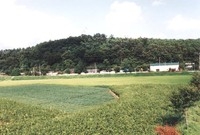 북일면 박산리 마을전경
