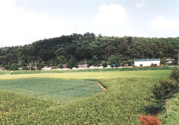 북일면 박산리 마을전경
