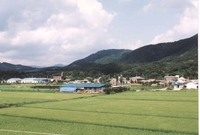 북일면 신흥리 마을전경