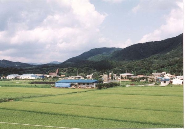 북일면 신흥리 마을전경