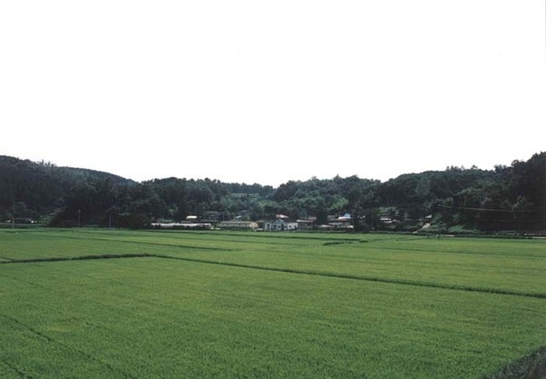 북일면 성산리 마을전경