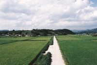 북일면 성산리 마을전경