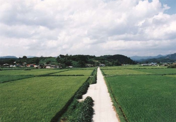 북일면 성산리 마을전경