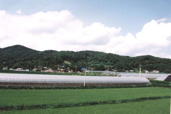 북일면 성산리 마을전경