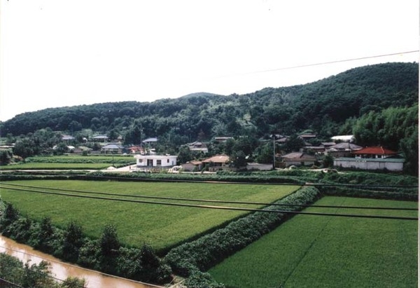 북일면 성산리 마을전경