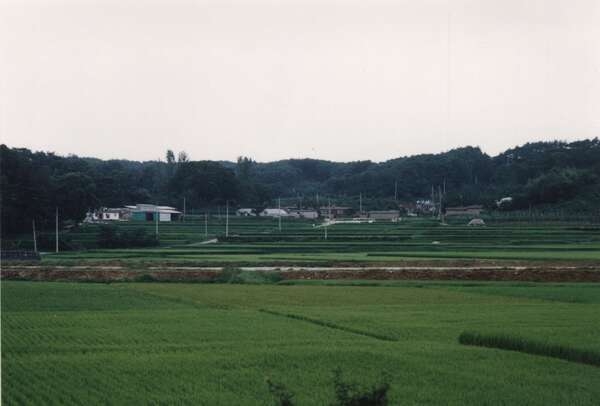 북일면 월계리 마을전경