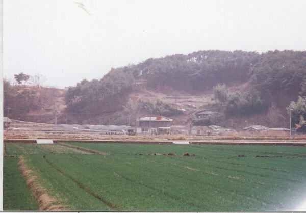 북일면 월계리 마을전경