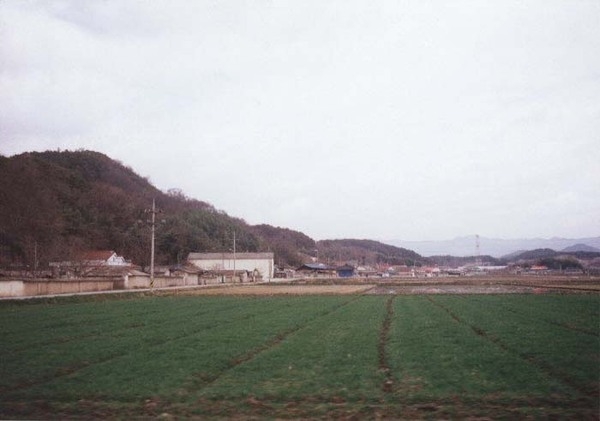 북일면 오산리 마을전경