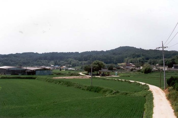 삼서면 홍정리 마을전경