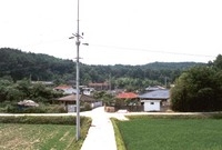 삼서면 홍정리 마을전경