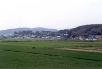 삼서면 홍정리 마을전경