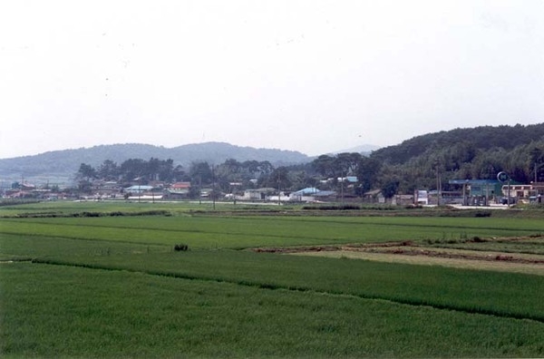 삼서면 홍정리 마을전경
