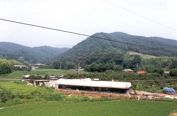 삼서면 유평리 마을전경