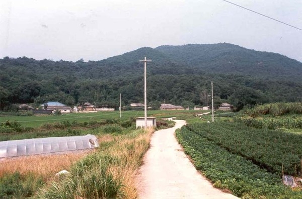 삼서면 유평리 마을전경