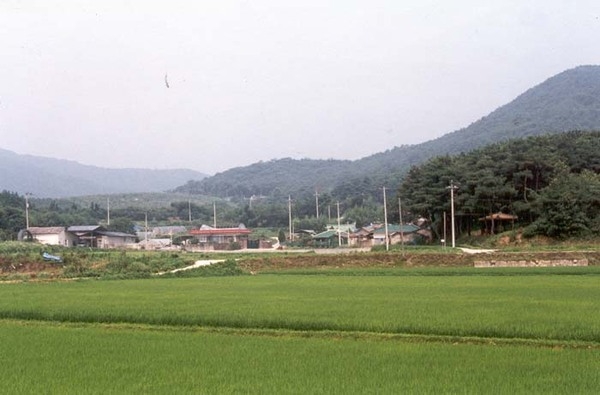 삼서면 유평리 마을전경