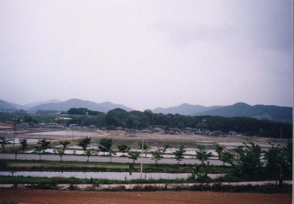 삼서면 유평리 마을전경