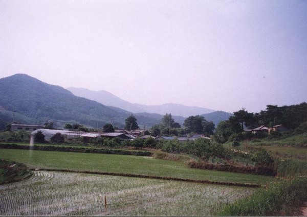 삼서면 유평리 마을전경