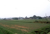 삼서면 수해리 마을전경