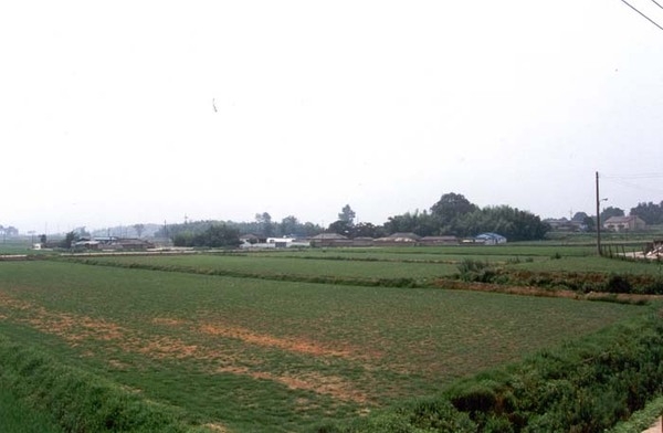 삼서면 수해리 마을전경