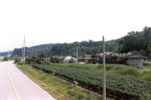 삼서면 수양리 마을전경