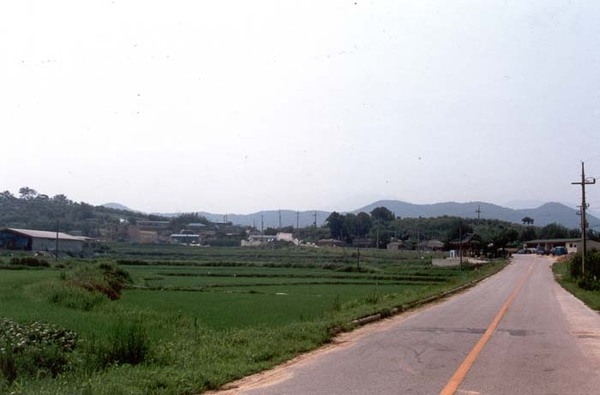 삼서면 수양리 마을전경