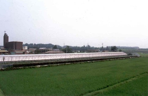 삼서면 소룡리 마을전경