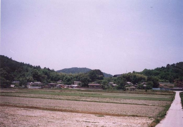 삼서면 석마리 마을전경