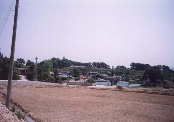 삼서면 석마리 마을전경