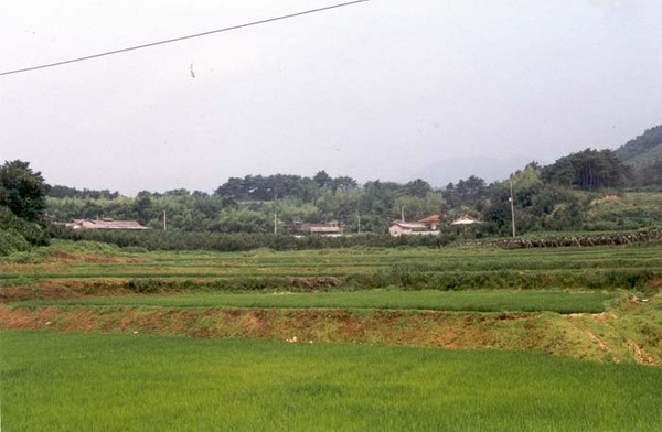 삼서면 삼계리 마을전경