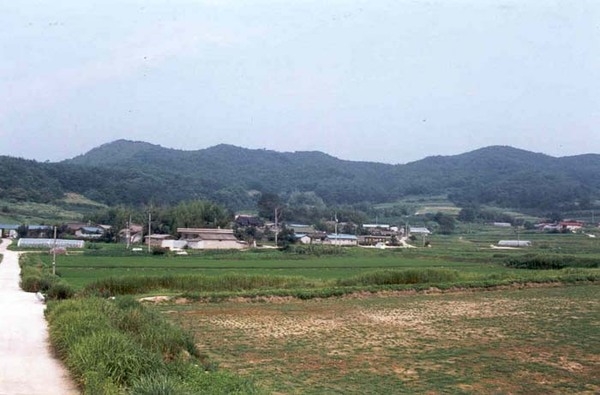 삼서면 삼계리 마을전경