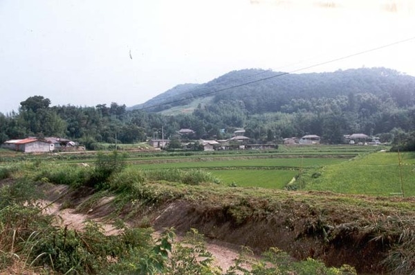 삼서면 삼계리 마을전경