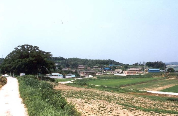 삼서면 삼계리 마을전경