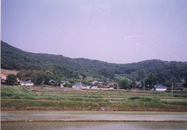 삼서면 삼계리 마을전경