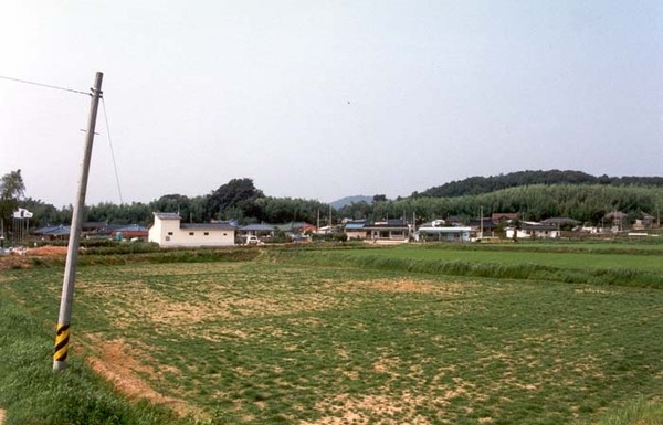 삼서면 보생리 마을전경