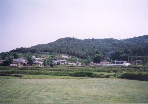 삼서면 두월리 마을전경