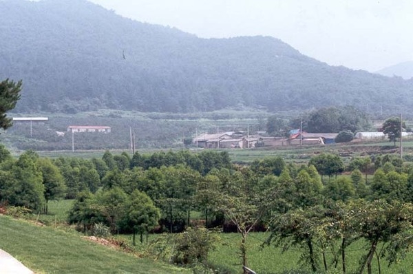 삼서면 대도리 마을전경