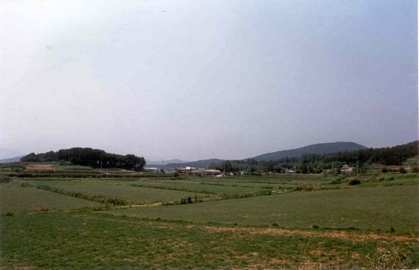 삼서면 대곡리 마을전경