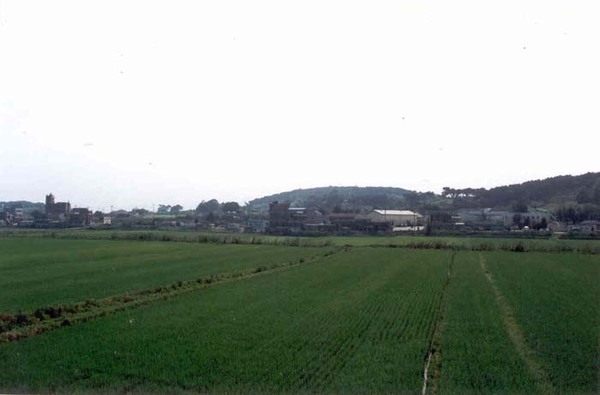 삼서면 대곡리 마을전경