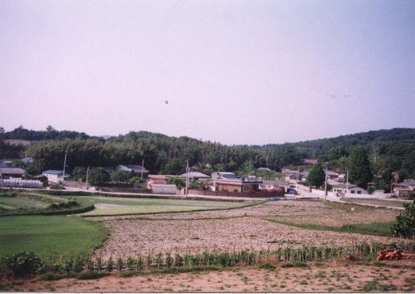 삼서면 대곡리 마을전경