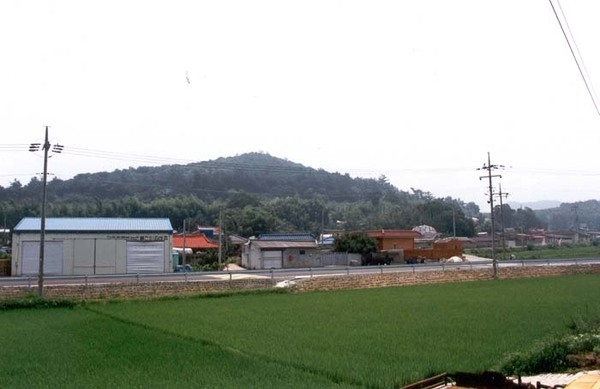 삼서면 금산리 마을전경