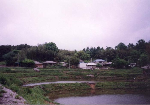 삼계면 능성리 마을전경