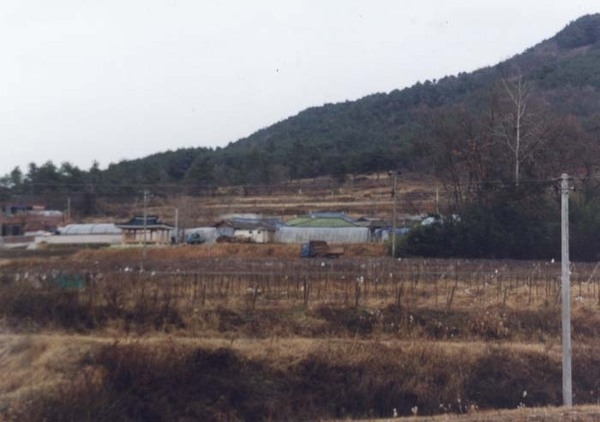삼계면 내계리 마을전경