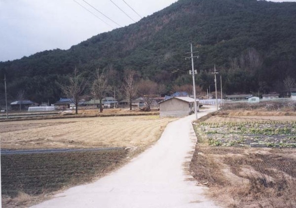 삼계면 발산리 마을전경